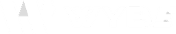 wybe-logo